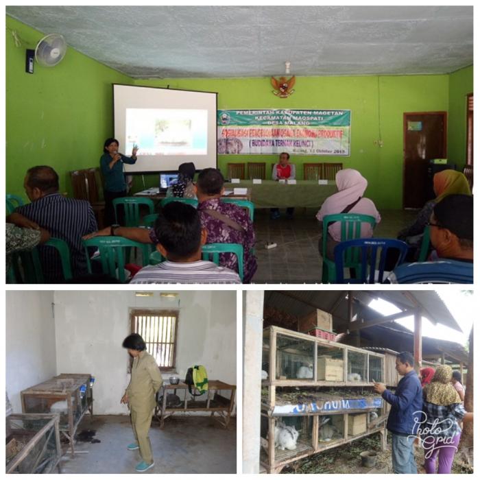 BETERNAK KELINCI SEBAGAI ALTERNATIF PENGHASILAN DI DESA MALANG, KECAMATAN MAOSPATI, KAB MAGETAN