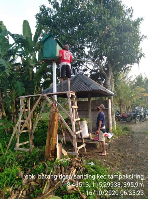 Bedah Rumah Tyto Alba, Burung Sahabat Petani