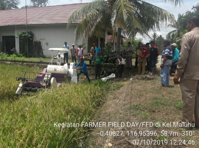 TEKNIK PENANGANAN PASCA PANEN TANAMAN PADI 