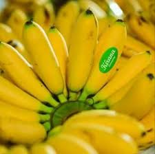 sop pengembangan pisang mas