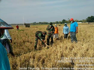 PENGENDALIAN HAMA TIKUS KEGIATAN SL (UPSUS) DI KEC. KEDUNGTUBAN KAB.BLORA 2019