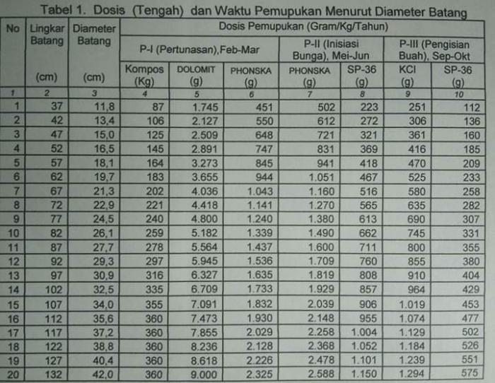PEMBUAHAN DURIAN METODE AGNO