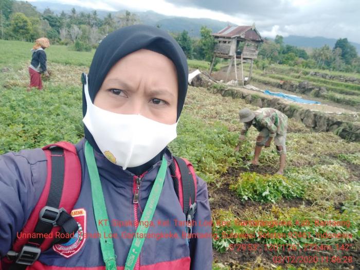Pemantauan Panen Kacang Tanah di hamparan KT. Sipakainga Kel Tanah Loe Kab.Bantaeng
