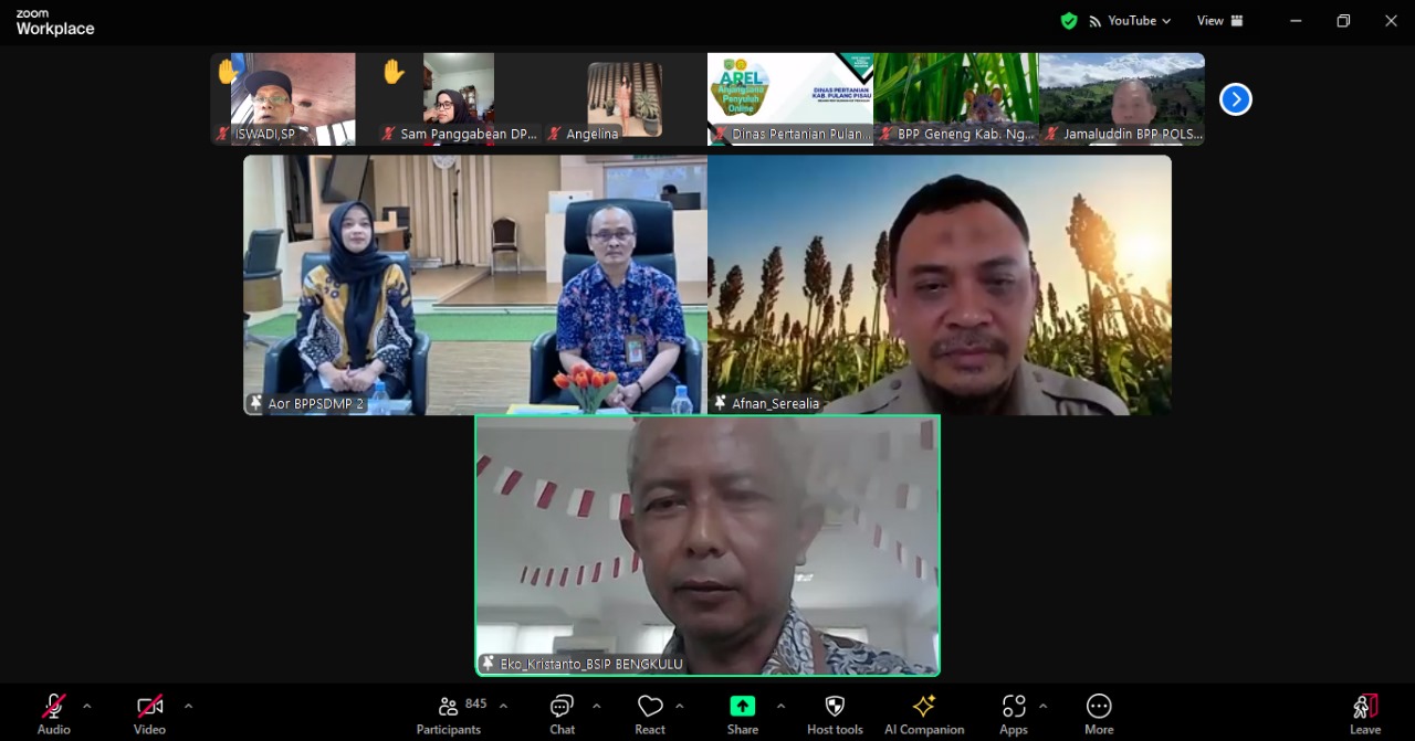 Sorgum Alternatif Pangan Sehat dan Berkelanjutan