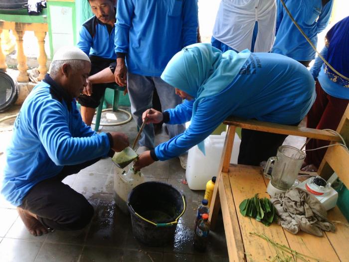 Pembuatan Dan Aplikasi Pestisida Nabati Untuk Tanaman Jahe Merah Di Gapoktan Mangunrejo Mulyo