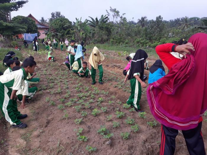 Pemberdayaan Kebun Sekolah Sd Di Desa Beringin Makmur