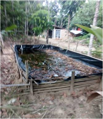 Budidaya Ikan Lele Pada Media Plastik Terpal