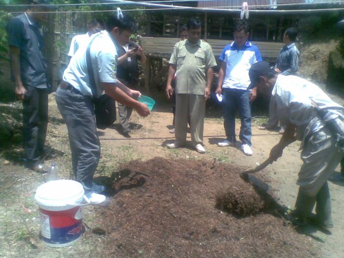 Pembuatan Pupuk Bokashi Menggunakan Sekam Kopi Di Wkpp Bpp Bengko Kecamatan Sindang Dataran Kabupaten Rejang Lebong