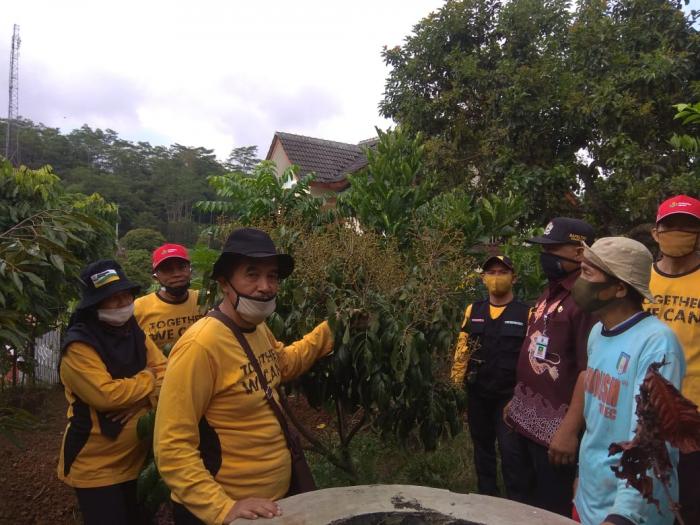 KLENGKENG KRISTAL MADU PRINGSURAT SIMAIS DAN MEJANJIKAN