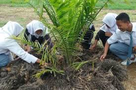 FUNGSI KELOMPOK PEKEBUN SAWIT SEBAGAI KELAS BELAJAR