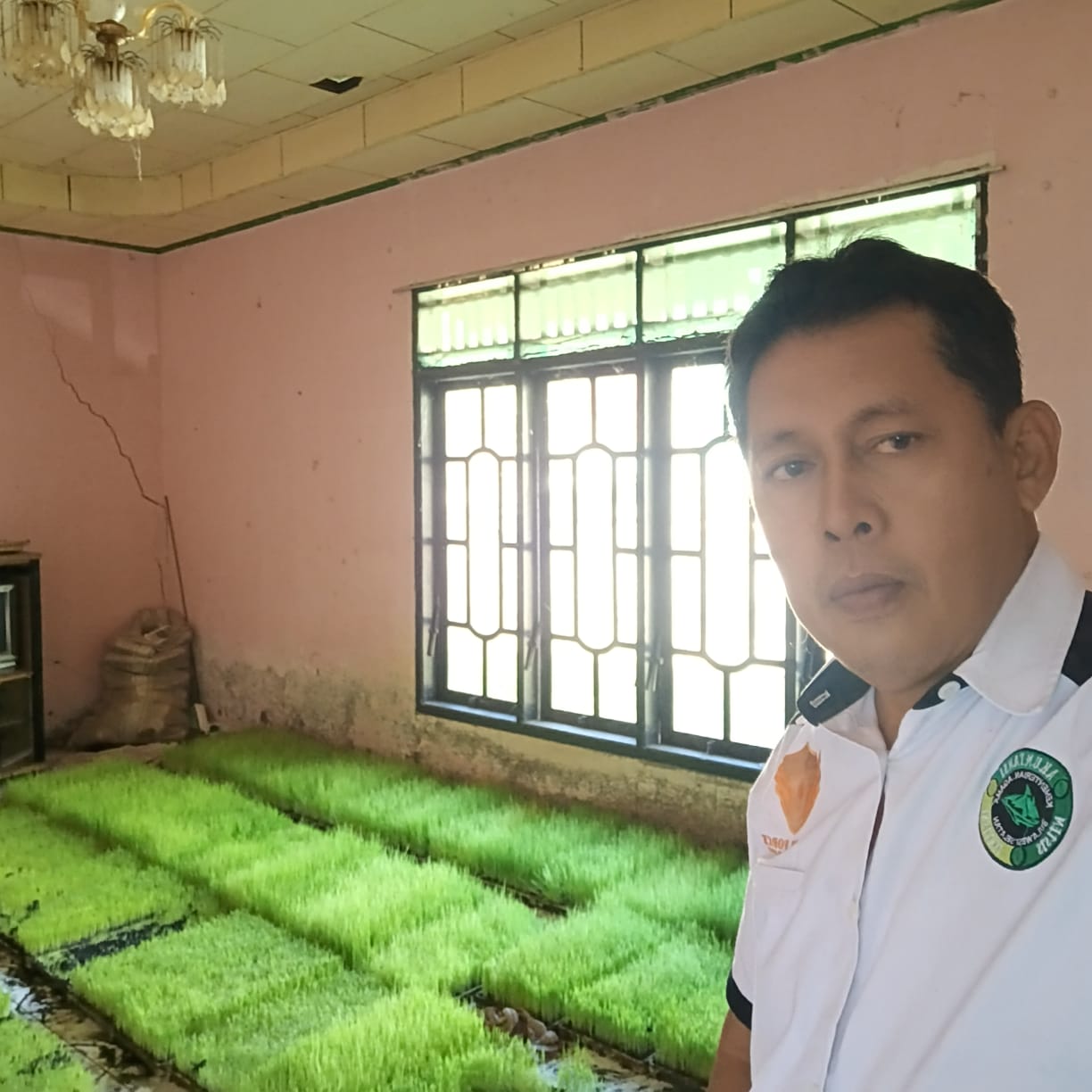 TEKNIK PERSEMAIAN PADI DALAM TALAM