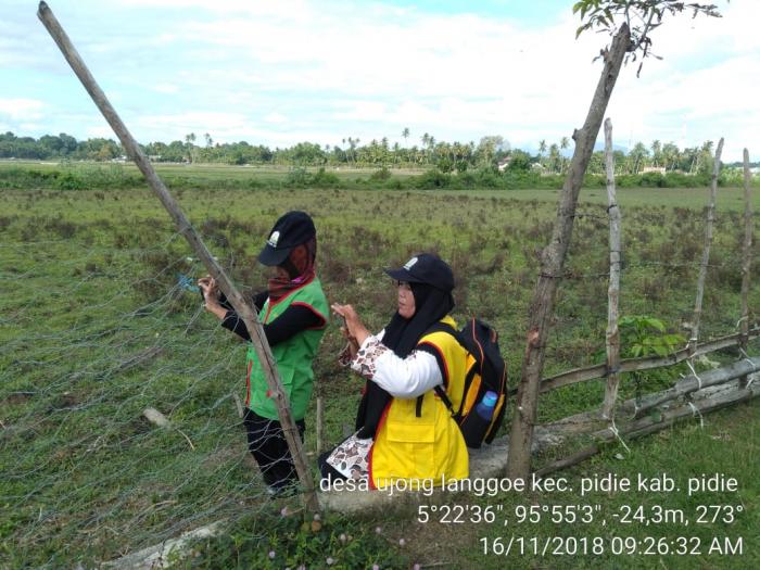 Pegenalan E-reporting Bagi Penyuluh Pertanian Di Bpp Kecamatan Pidie
