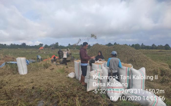 Kunjungan Ke Petani Padi di Wilayah Kelompok Tani Kaloling 2 Kec.Gantarangkeke Kab.Bantaeng