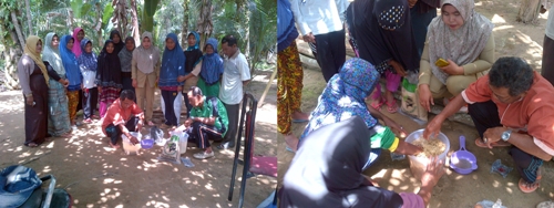 CARA SELEKSI BENIH PADI SAWAH