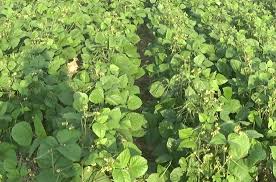 Kesiapan Menghadapi Perubahan