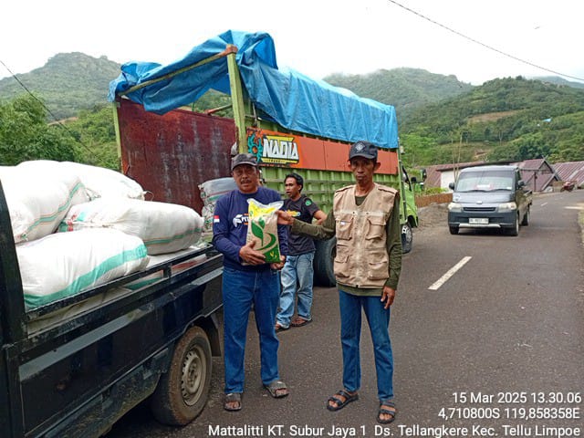 Cara Memilih Benih Padi Terbaik Sesuai Kebutuhan