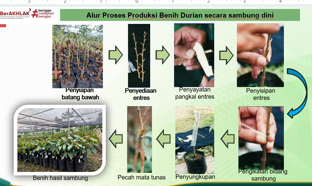 Pertanian Modern Membantu Kebutuhan Pangan