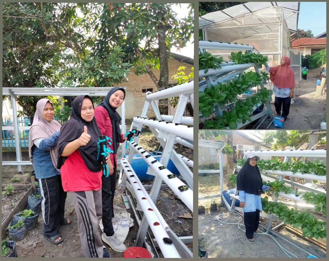 Kwt Harapan Ibu Gunakan Hidroponik Untuk Tingkatkan Kuantitas Produksi Sayuran