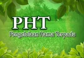 PENGENDALIAN HAMA TERPADU ( PHT )