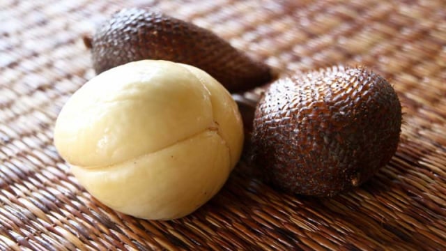 Pengembangan Tanaman Salak Pasaman 