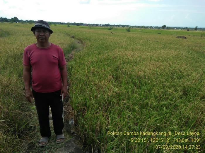 Kunjungan lapangan , di Kelompok Tani Camba Kadangkang III Desa Layoa Kec. Gantarangkeke Kab. Bantaeng