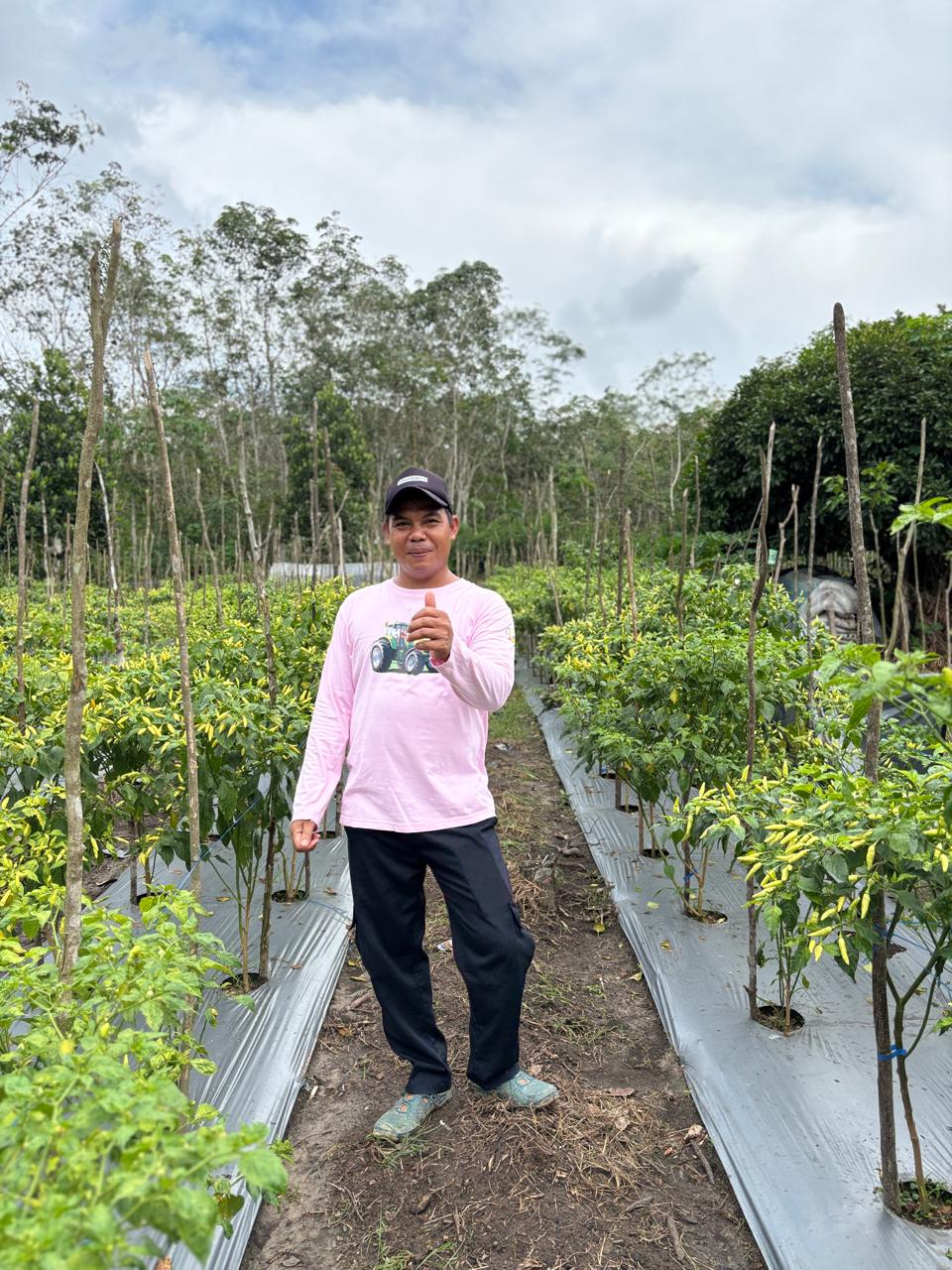 Mengenal Petani Milenial Berprestasi Tingkat Provinsi Kalimantan Selatan Tahun 2025