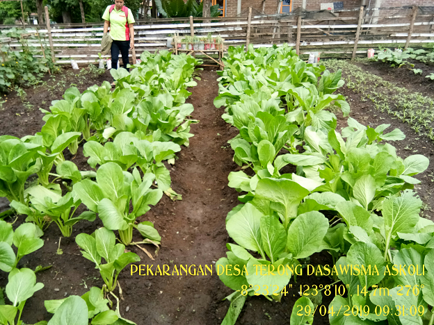 MANFAAT PEKARANGAN 