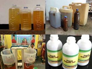 PUPUK ORGANIK URINE SAPI