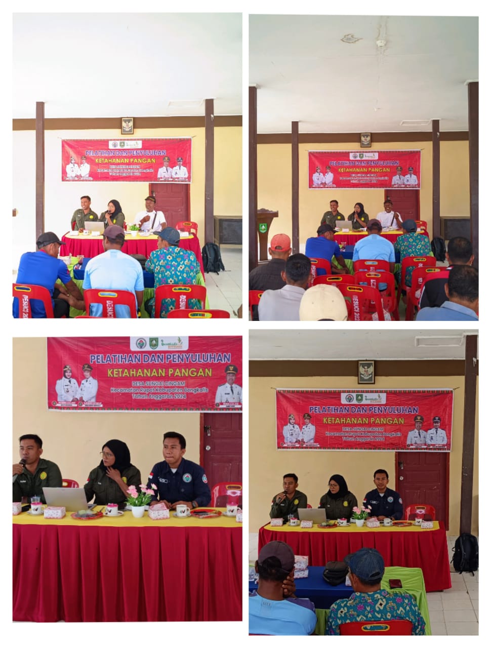 Pelatihan dan Penyuluhan Ketahanan Pangan 2024 Desa Sei Cinggam