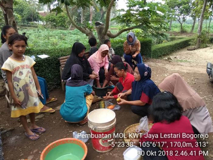 Membuat Mikro Organisme Lokal (mol) Buah