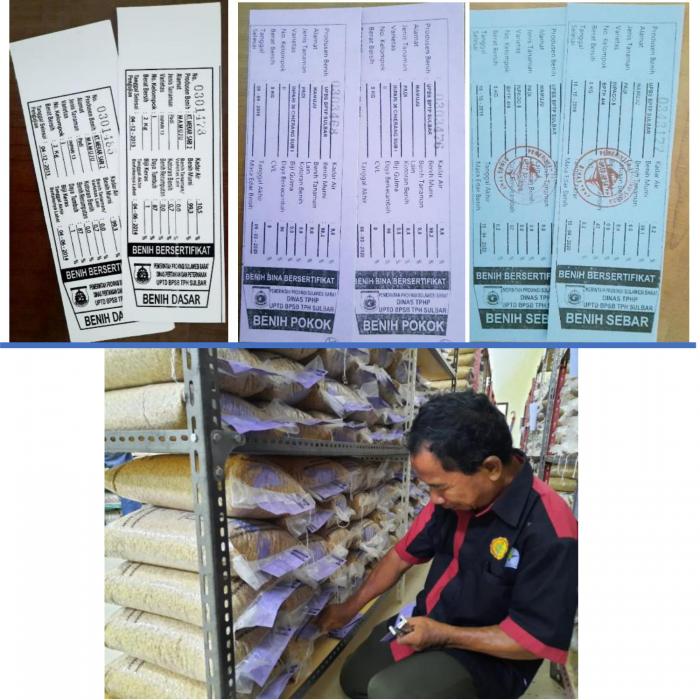 CARA MENGHASILKAN BENIH UNGGUL BERSERTIFIKAT