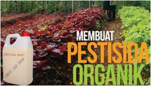 PESTISIDA ORGANIK