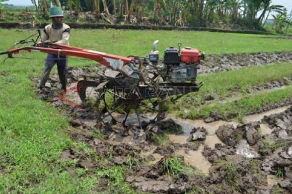 TTEKNIK PENGOLAHAN TANAH PERSAWAHAN DENGAN BAIK DAN BENAR 