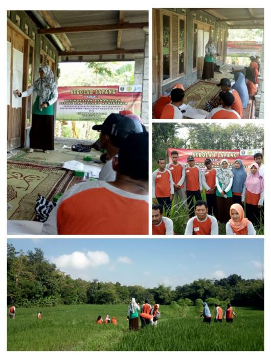 EMPAT PRINSIP PENGENDALIAN HAMA TERPADU (PHT) (Materi SL IPDMIP di Kelompoktani Sari Tani Desa Sambirejo Kecamatan Mantingan)
