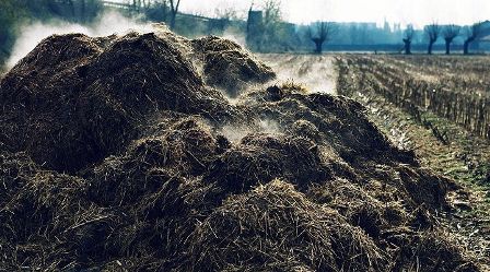 Program Unit Pengelola PupukmOrganiak ( UPPO )