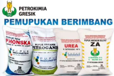 Jenis Dan Manfaat Pupuk Kelapa Sawit