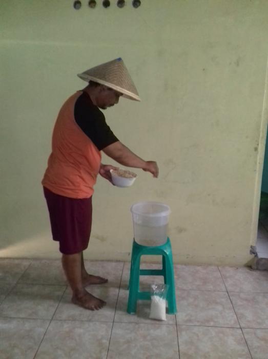 Seleksi Benih Padi