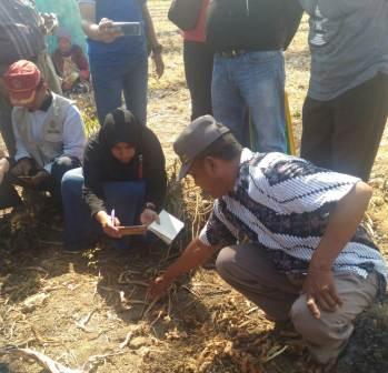 Hubungan Agroekologi dengan Agrolanscape