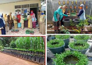 PRODUKTIF DI PEKARANGAN RUMAH  DITENGAH PANDEMI COVID-19