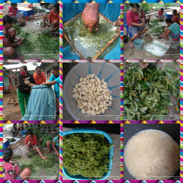 Pestisida Nabati  Untuk Pertanian Organik