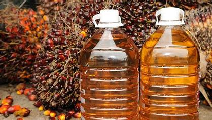 KANDUNGAN GIZI PADA MINYAK SAWIT MERAH DAN PELUANG PASARNYA