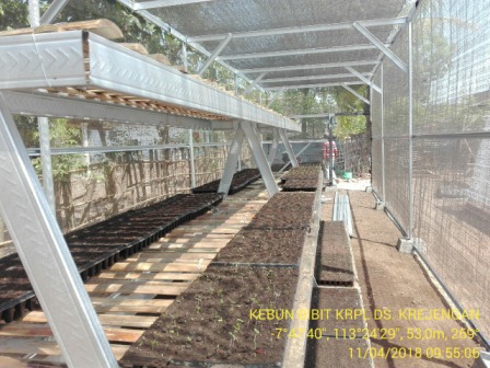 KEBUN BIBIT DESA