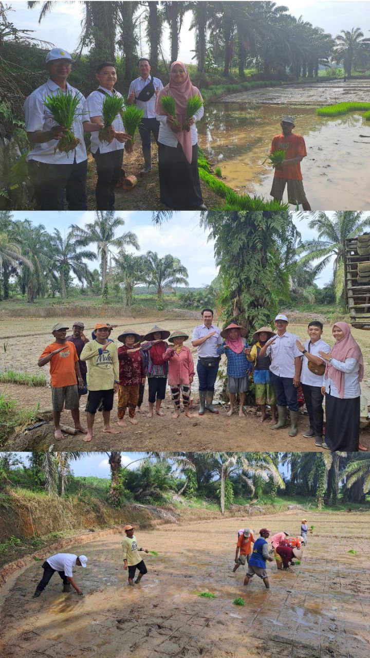 Kegiatan Pendampingan Percepatan Tanam Di Kecamatan Bunga Mayang