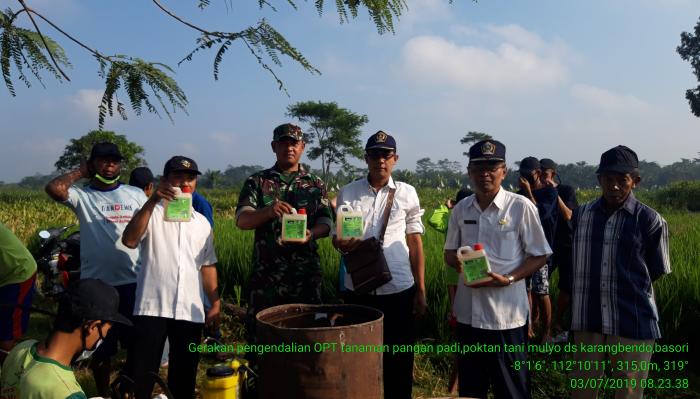 PENGENDALIAN ORGANISME PENGANGGU TANAMAN (OPT) PADA TANAMAN PADI DI WILAYAH BINAAN KECAMATAN PONGGOK KABUPATEN BLITAR
