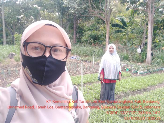 Pemantauan Pertanaman Sayuran di KWT Kemuning Kel.Tanah Loe Kec.Gantarangkeke Kab.Bantaeng