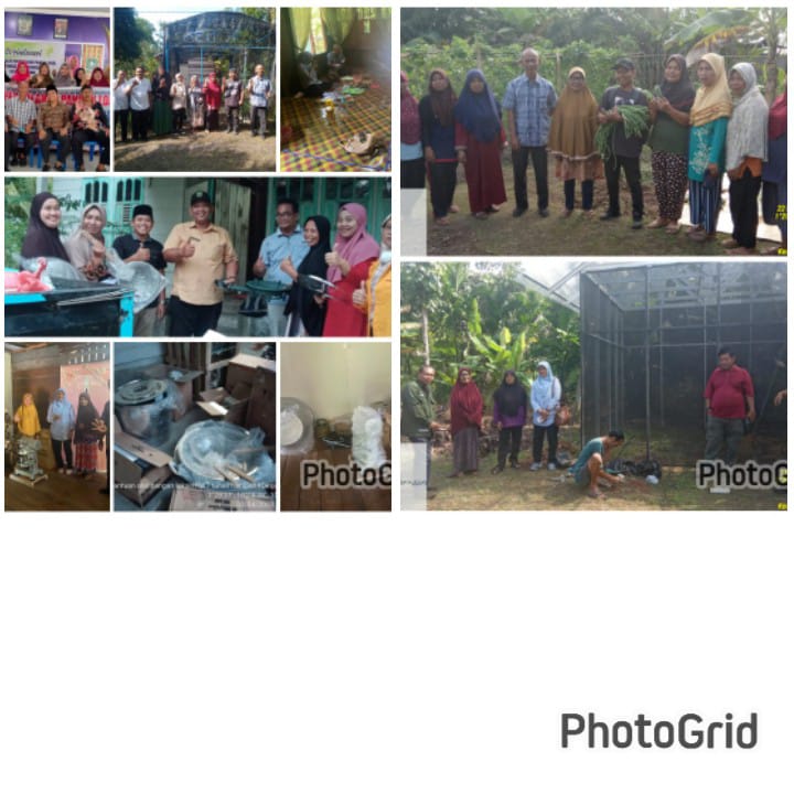 DINAS KETAHANAN PANGAN PROPINSI RIAU, SALURKAN PROGRAM KRPL DI KWT TUNAS HARAPAN DAN KWT LESTARI