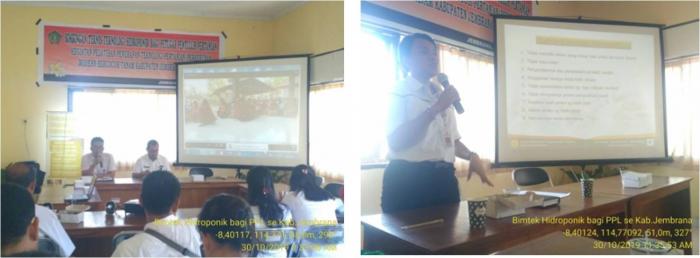 DINAS PERTANIAN DAN PANGAN KABUPATEN JEMBRANA, GELAR PELATIHAN HIDROPONIK BAGI PPL SE-KABUPATEN JEMBRANA
