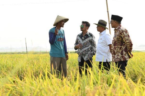 Bimbingan Teknis Serentak Bagi Penyuluh Pertanian dan Petani Andalan