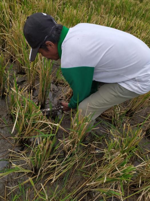 UJI SAMPEL TANAH, CARA TEPAT MENGETAHUI KEBUTUHAN HARA TANAH