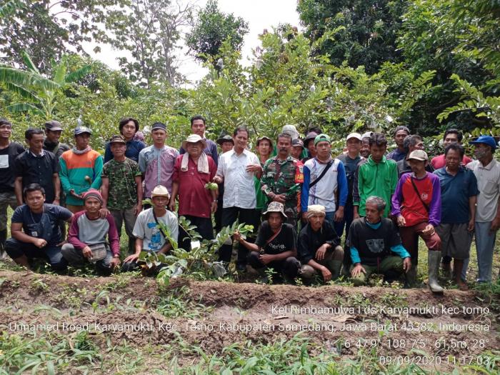Petani Milenial Raih Untung Dari Jambu Kristal